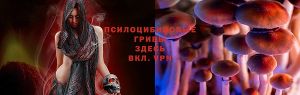 экстази Абаза