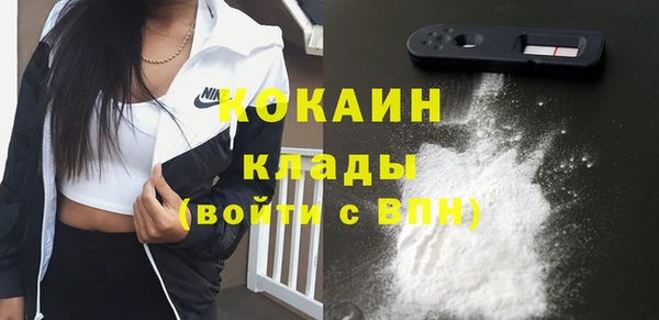 дживик Абинск