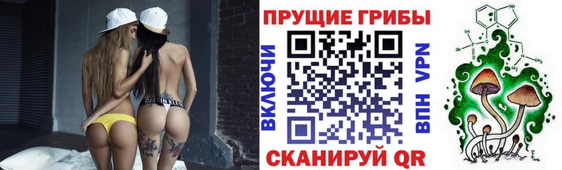 Псилоцибиновые грибы прущие грибы Гусиноозёрск